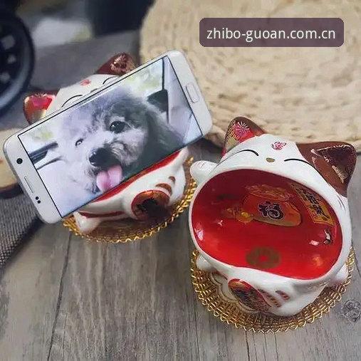 体育在线直播国安中国官网 你有没有碰到过那种明明买好会员,手举着手机就等开球,结果跳出个“登录失败”的提示,急得恨不得把屏幕戳碎?反正我上个月遇到过三回,尤其是国安客场对上港那场赛前,差点把家里的WiFi换了。